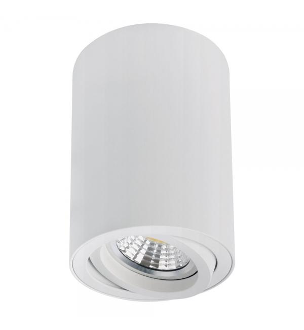 Светильник Arte SENTRY A1566PL-1WH