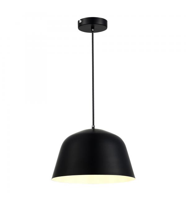 Светильник Evoluce BLANK SLE1805-403-01