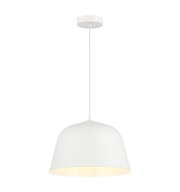 Светильник Evoluce BLANK SLE1805-503-01