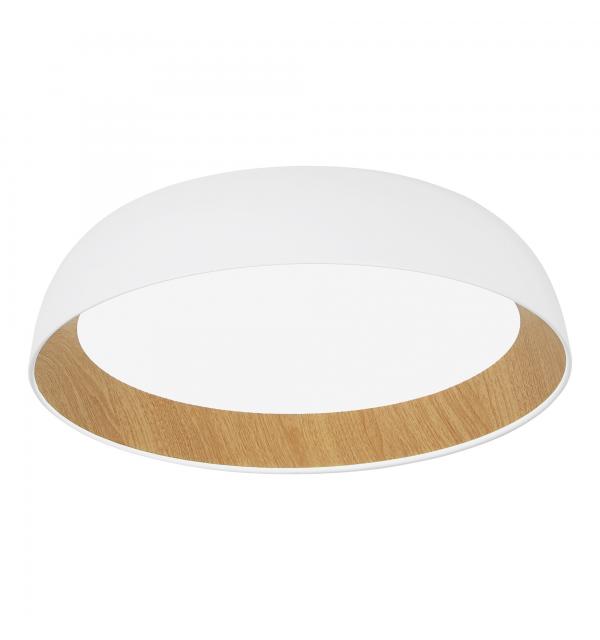 Светильник Evoluce MUSE SLE1812-502-01