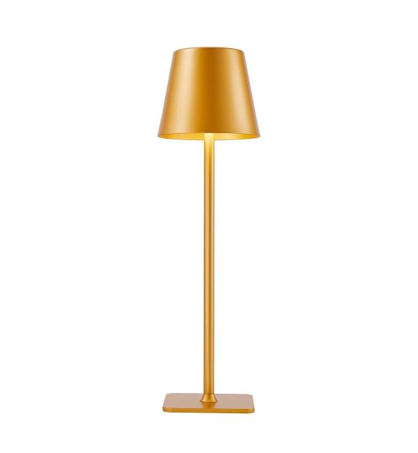 Светильник F-Promo Pyari 4616-1T