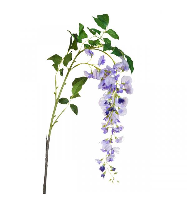 Глициния сиреневая Garda 9F27434-2088