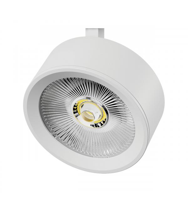Светильник Lightstar Alta Pro 215636