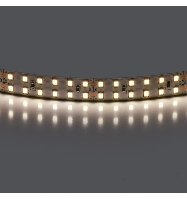 Лента белого свечения 24V Lightstar 421504