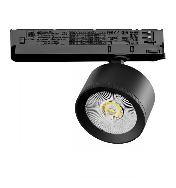 Светильник Lightstar Alta Pro A5547TRIAC
