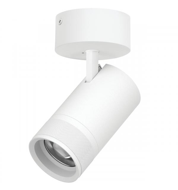 Светильник Lightstar Canno Pro C4406SO