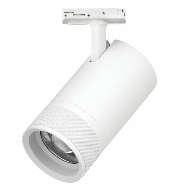 Светильник Lightstar Canno Pro C4406SS