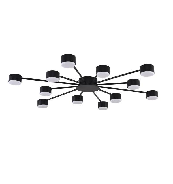 Светильник Lumion TORINA 8344/12C