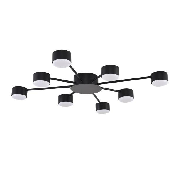 Светильник Lumion TORINA 8344/8C