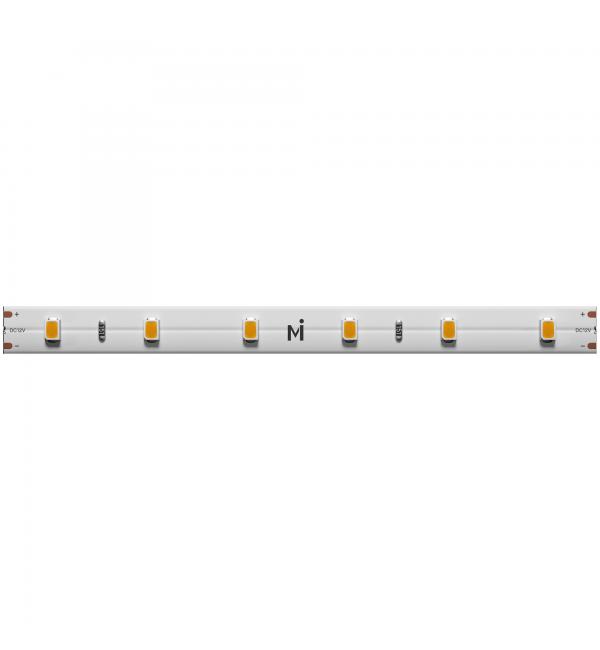 Светодиодная лента Maytoni Led Strip 201010