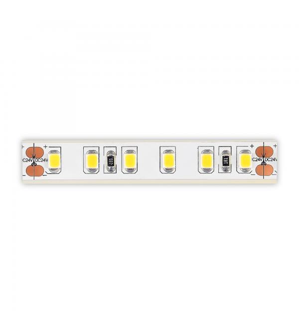 Светодиодная лента STLuce ST1001.310.65.2