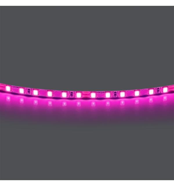 420512 Лента LIGHTSTAR LED 24V 12W 120leds/M 1600 LM/M розовый IP20 1шт = 5м