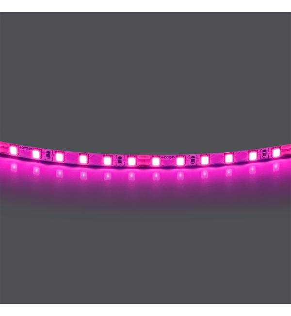 420512 Лента LIGHTSTAR LED 24V 12W 120leds/M 1600 LM/M розовый IP20 1шт = 5м