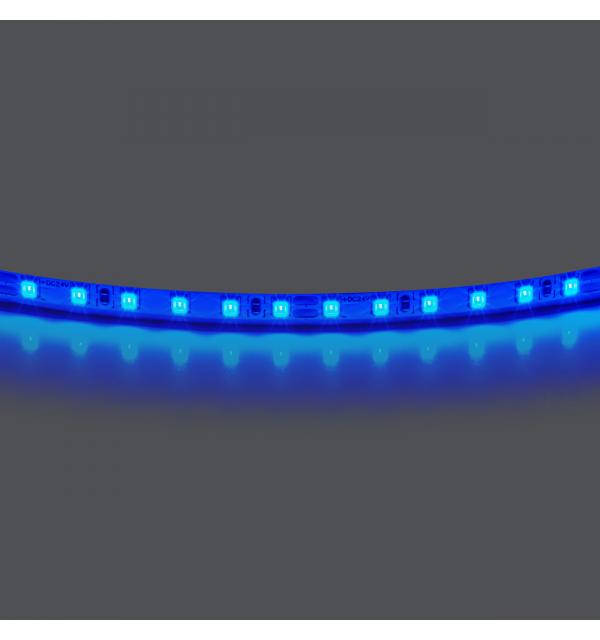 420515 Лента LIGHTSTAR LED 24V 12W 120leds/M 1600 LM/M синий IP20 1шт = 5м