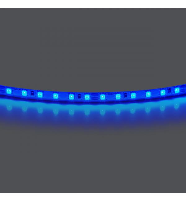 420515 Лента LIGHTSTAR LED 24V 12W 120leds/M 1600 LM/M синий IP20 1шт = 5м