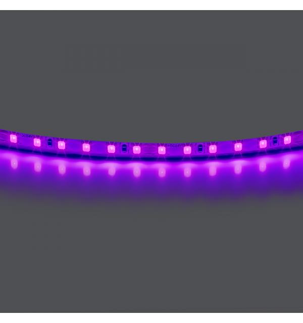 420518 Лента LIGHTSTAR LED 24V 12W 120leds/M 1600 LM/M фиолетовый IP20 1шт = 5м