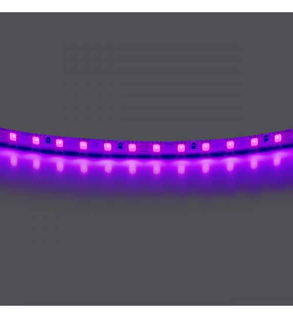 420518 Лента LIGHTSTAR LED 24V 12W 120leds/M 1600 LM/M фиолетовый IP20 1шт = 5м