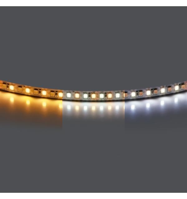 420820 Лента LIGHTSTAR LED 24V 20W 168leds/M 2000LM/M WW+W IP20 1 шт = 5м