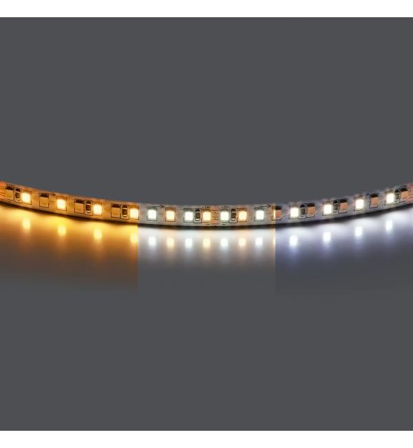 420820 Лента LIGHTSTAR LED 24V 20W 168leds/M 2000LM/M WW+W IP20 1 шт = 5м