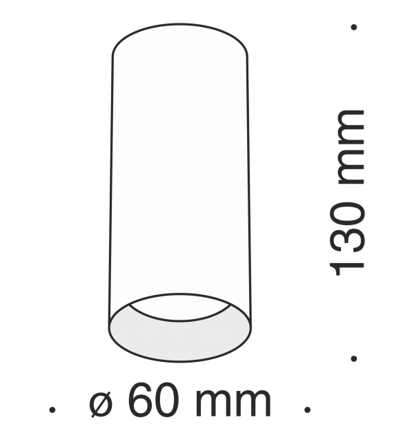Потолочный светильник Technical C010CL-01MG