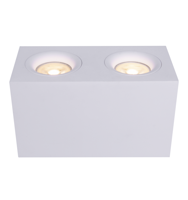Потолочный светильник Technical C013CL-02W
