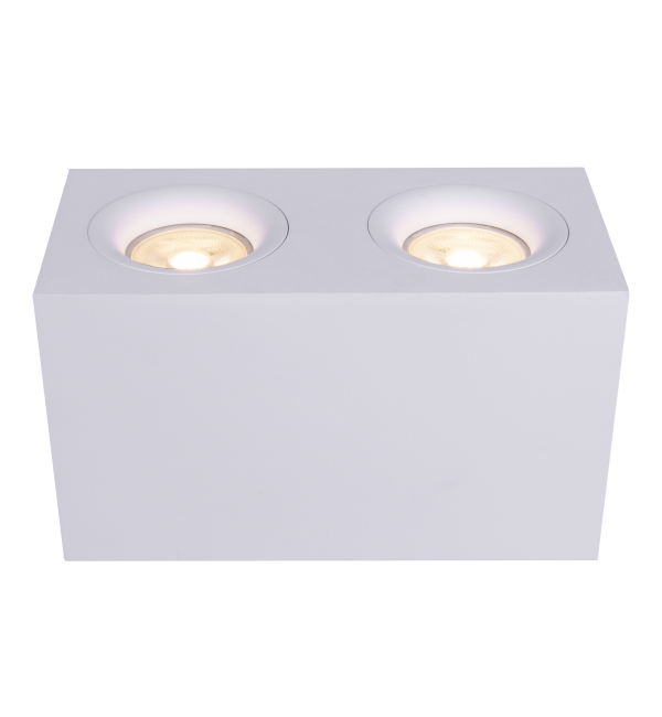 Потолочный светильник Technical C013CL-02W