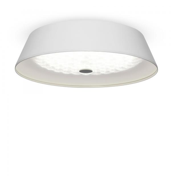 Потолочный светильник Freya FR10013CL-L24W