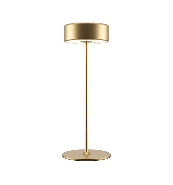 Аккумуляторный светильник Maytoni MOD229TL-L3G3K2