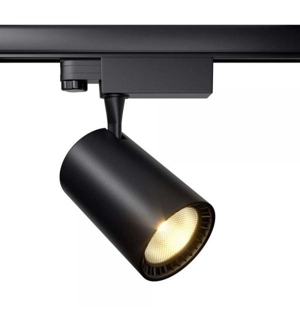 Светильник Maytoni Trinity TR029-3-20W3K-W-B